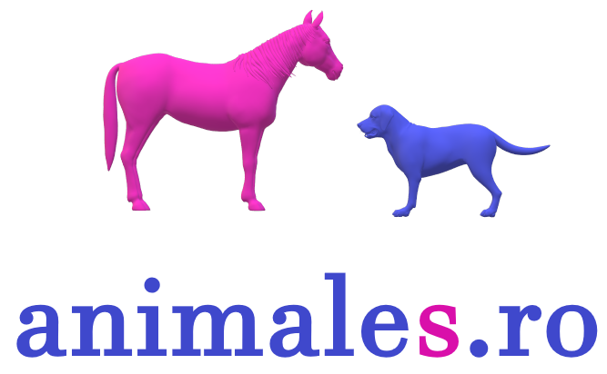 Animales
